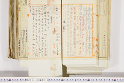 明い024010120002.jpg