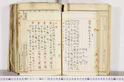 明い024010120003.jpg