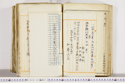 明い024010130002.jpg