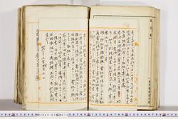 明い024010130007.jpg