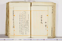 明い024010130008.jpg