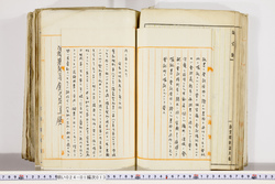 明い024010130012.jpg