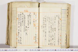 明い024010150016.jpg