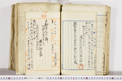 明い024010150020.jpg