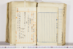明い024010150023.jpg