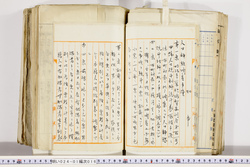 明い024010160002.jpg