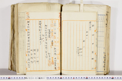 明い024010170005.jpg