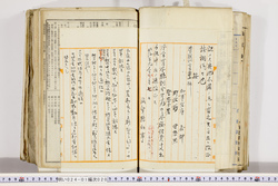 明い024010200002.jpg