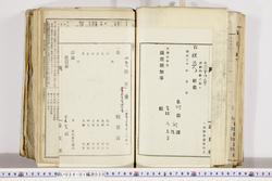 明い024010200004.jpg