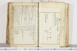 明い024010200006.jpg