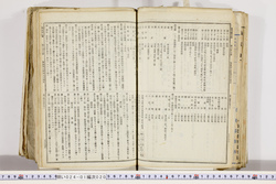 明い024010200007.jpg