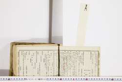 明い024010200010.jpg