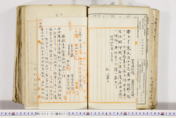 明い024010210002.jpg