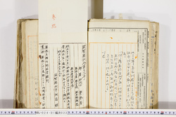 明い024010220005.jpg