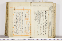明い024010220006.jpg