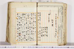明い024010240002.jpg