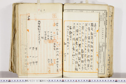 明い024010240004.jpg