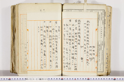 明い024010250002.jpg