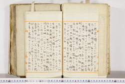 明い024010260005.jpg