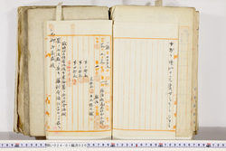 明い024010260006.jpg