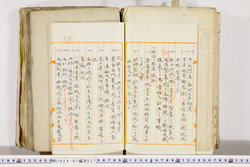 明い024010270004.jpg