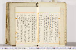明い024010270005.jpg