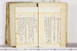 明い024010270007.jpg