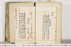 明い024010280006.jpg