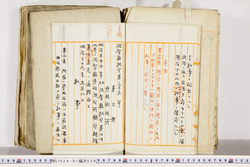 明い024010290004.jpg