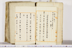 明い024010300002.jpg