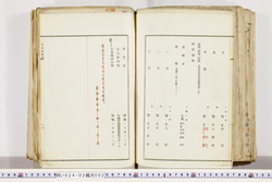 明い024020020007.jpg