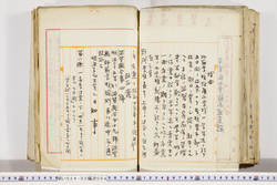 明い024020040002.jpg