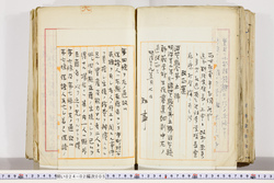 明い024020050002.jpg