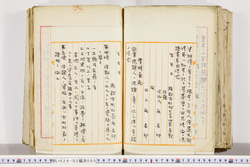 明い024020050004.jpg