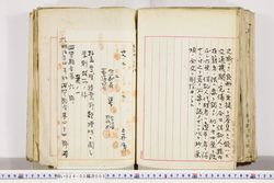 明い024020050007.jpg