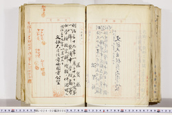明い024020060006.jpg