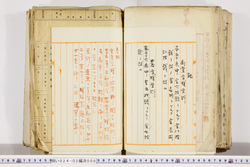 明い024020060010.jpg