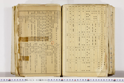 明い024020060014.jpg