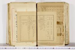 明い024020060020.jpg