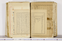 明い024020060021.jpg