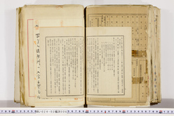 明い024020060022.jpg