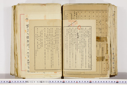 明い024020060023.jpg
