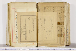 明い024020060024.jpg