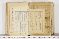 明い024020060028.jpg