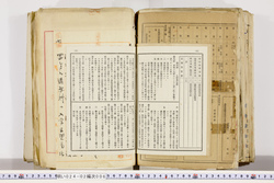 明い024020060030.jpg