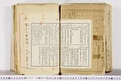 明い024020060031.jpg