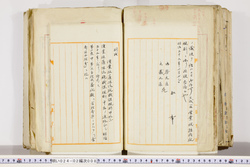 明い024020080004.jpg