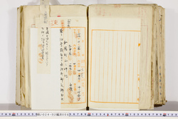 明い024020080006.jpg