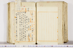 明い024020080007.jpg