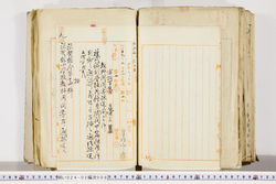 明い024020080013.jpg